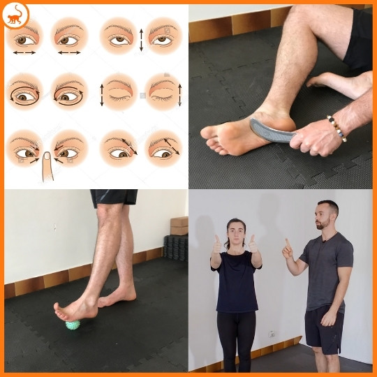 stretchingpro-bienfaits-stretching-bienfaits-proprioception