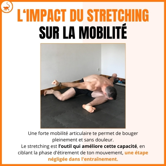 stretchingpro-bienfaits-stretching-impact-stretching-mobilite-articulaire