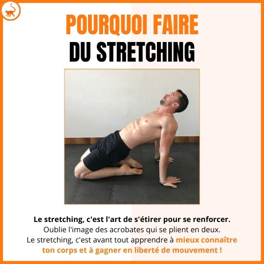 stretchingpro-bienfaits-stretching-importance-stretching