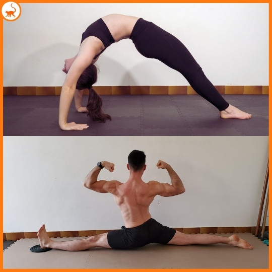 stretchingpro-bienfaits-stretching-performance-sportive