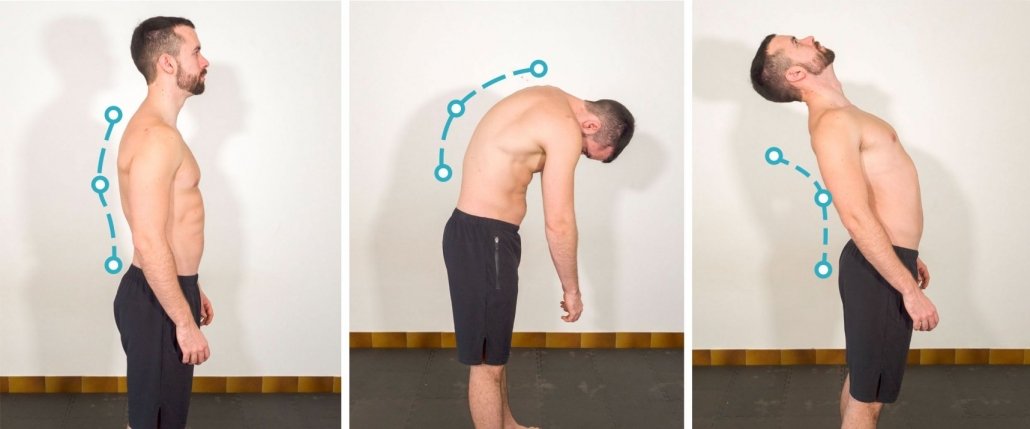 stretchingpro-guide-etirements-bas-dos-position-dos-neutre-flexion-extension
