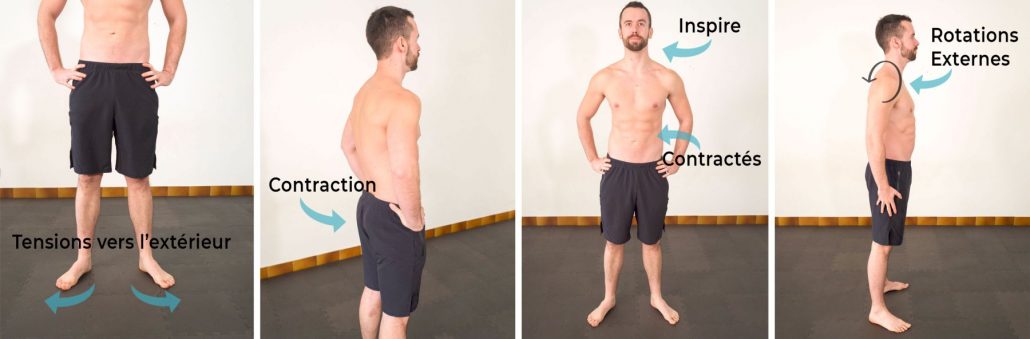 stretchingpro-programme-mal-dos-comment-soigner-douleurs-dos-colonne-vertébrale-stabiliser-flexion-extension-corps