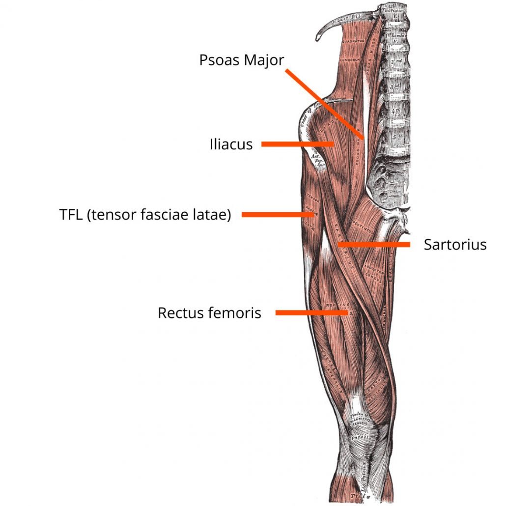 stretchingpro-muscles-flechisseurs-hanche
