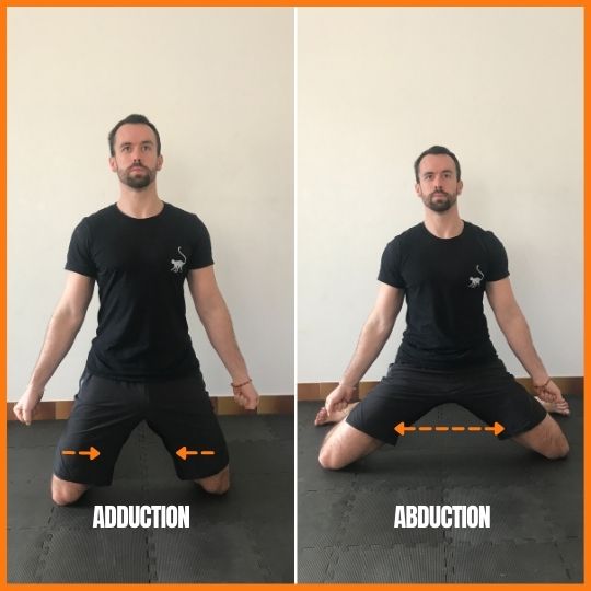 stretchingpro-étirement-grand-écart-anatomie-hanche-2