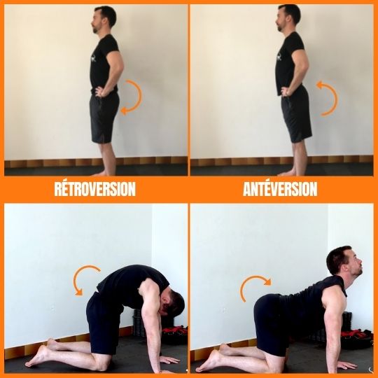 stretchingpro-étirement-grand-écart-mouvements-bassin